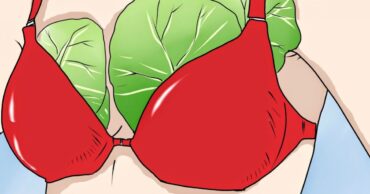 Listovi kupusa kao lek: Mnoge žene noću stavljaju kupus na grudi