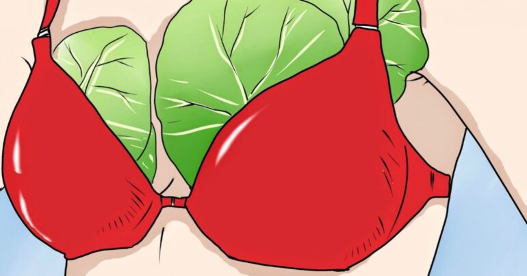 Listovi kupusa kao lek: Mnoge žene noću stavljaju kupus na grudi