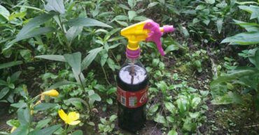 Zašto kupujem “Coca-Colu” u litrima, a ne dozvoljavam nikome da pije?!