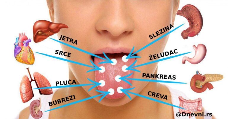 Jezik je ogledalo tela! Evo kako da odredite stanje tela prema jeziku…