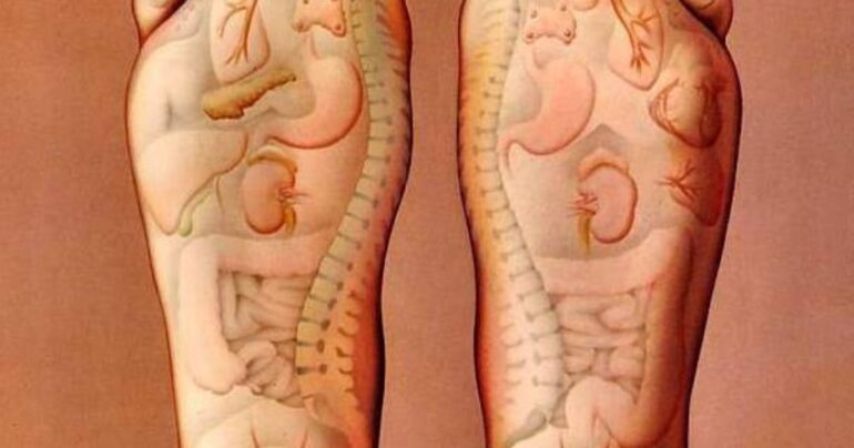 Sada ću uvek masirati stopala pre spavanja! Jednostavna tajna dugovečnosti i mladosti