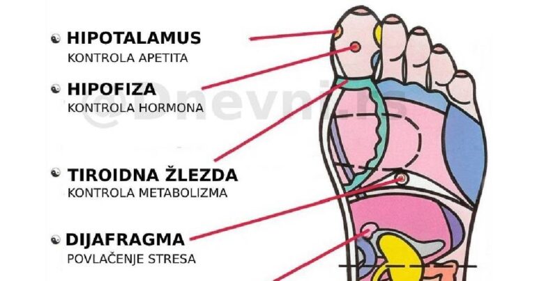 Refleksna masaža stopala: ovih 7 aktivnih tačaka može vas vratiti u život za par minuta!