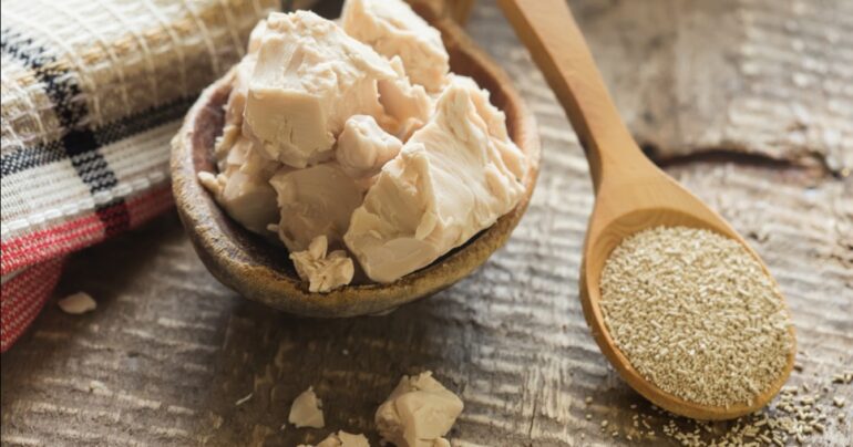 Kako koristiti kvasac u sobnom cvećarstvu i zašto je on potreban biljkama?