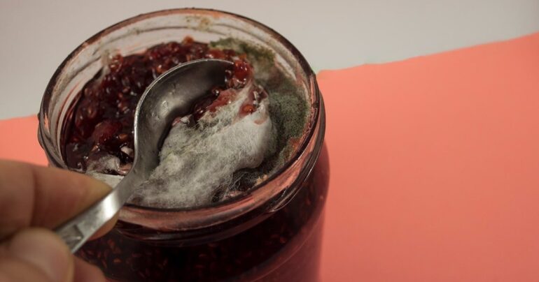 Možete li jesti džem ako se u tegli nađe buđ?