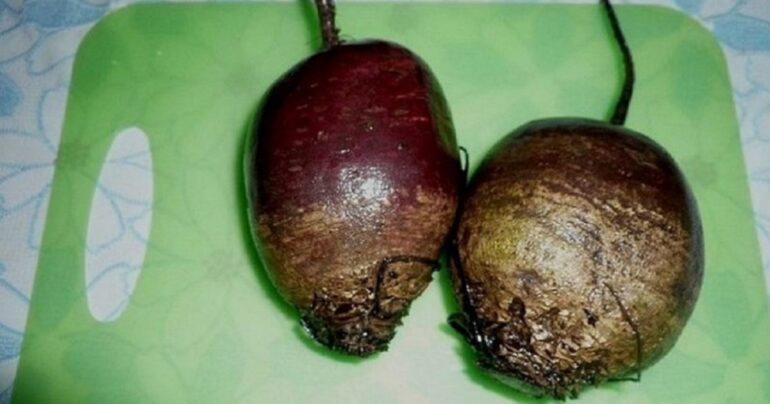 Obična cvekla čisti jetru kao usisivač! Detoksikuje telo za 7 dana!