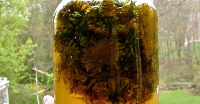 Ulje od maslačka – kako ga napraviti