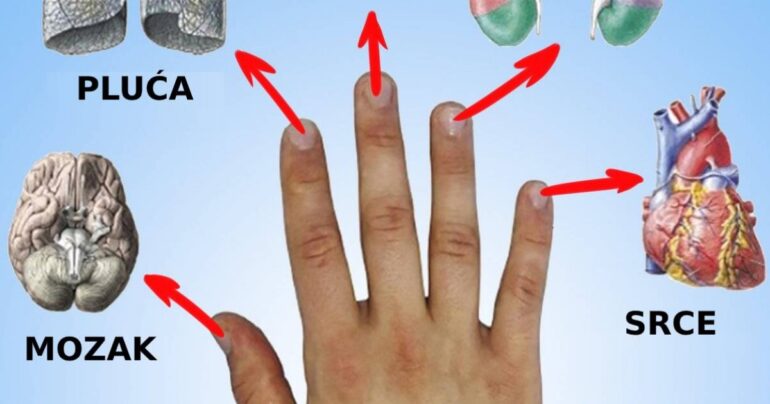 Svaki prst je povezan sa dva organa: japanska metoda će izlečiti svaku bolest za 5 minuta!