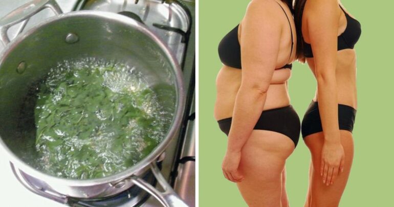 U utorak je imala 72 kg, a do subote je već 67! Ovo je definitivno čudotvorna biljka!