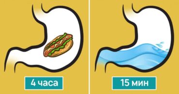 OTKRIVAMO: Da li treba piti vodu za vreme jela?