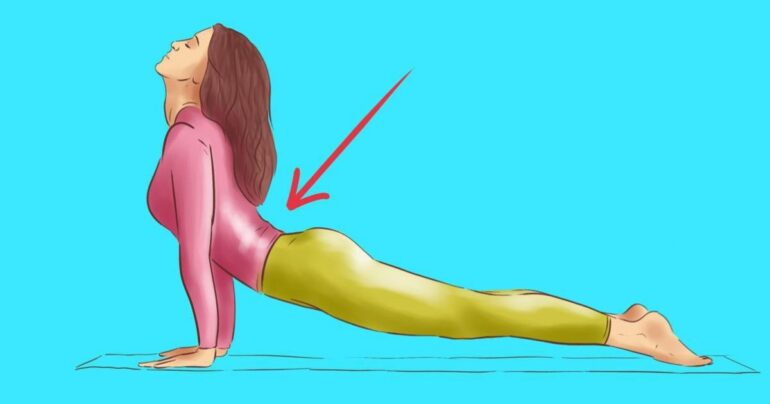 Gipko telo i gracioznost mačke san je mnogih žena i jedna od najboljih maštarija muškaraca