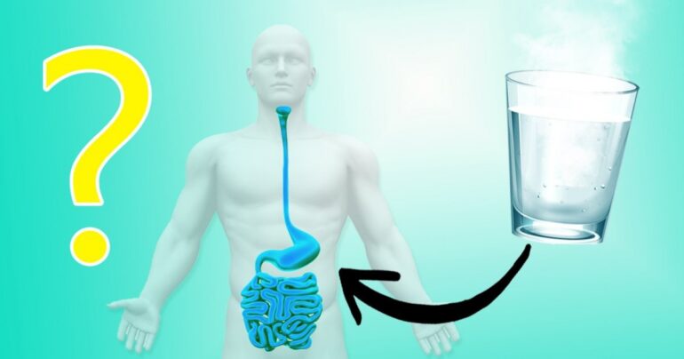 Topla voda prokuvana do ½ leči astmu, bronhitis, obara temperaturu. Do ¼ gojaznost, uklanja nadimanje i upalu pluća