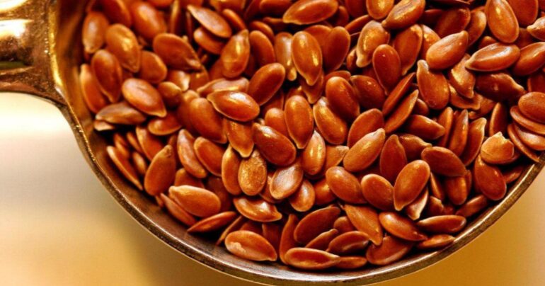 Seme lana PUCA od zdravlja: skida kg, leči vid, jetru, bubrege..