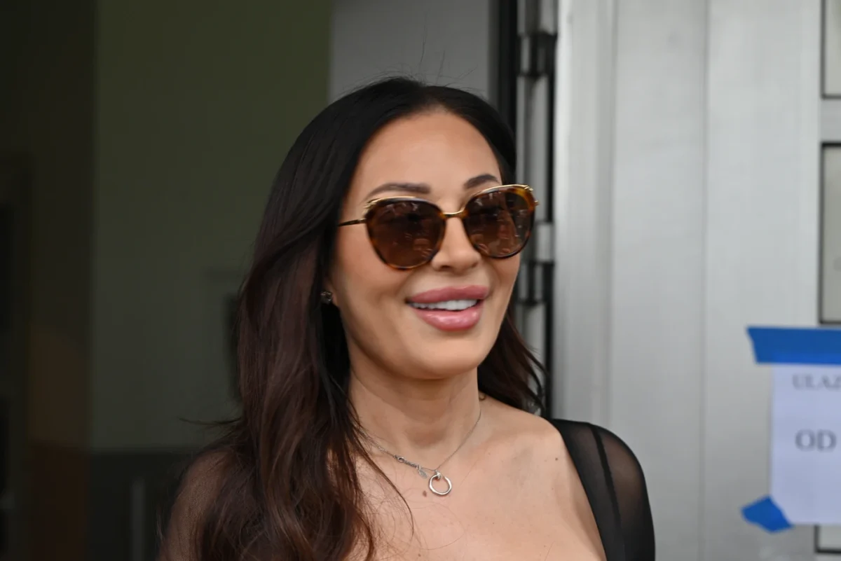 CECA POKLONILA VILU NA DEDINJU ARKANOVOJ BIVŠOJ ŽENI? Nekretnina od 408 kvadrata danas se izdaje za 7.000 evra mesečno